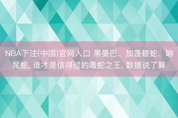 NBA下注(中国)官网入口 黑曼巴、加蓬蝰蛇、响尾蛇， 谁才是信得过的毒蛇之王， 数据说了算