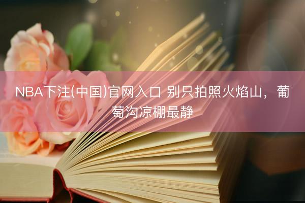 NBA下注(中国)官网入口 别只拍照火焰山，葡萄沟凉棚最静