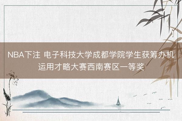 NBA下注 电子科技大学成都学院学生获筹办机运用才略大赛西南赛区一等奖