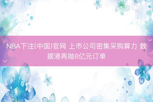 NBA下注(中国)官网 上市公司密集采购算力 数据港再抛8亿元订单