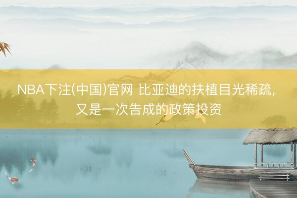NBA下注(中国)官网 比亚迪的扶植目光稀疏， 又是一次告成的政策投资
