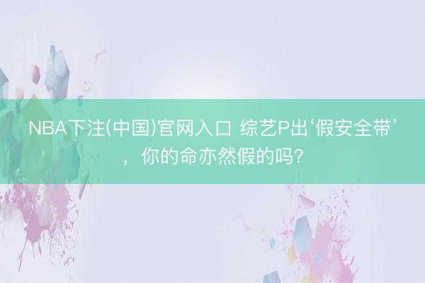 NBA下注(中国)官网入口 综艺P出‘假安全带’,你的命亦然假的吗?