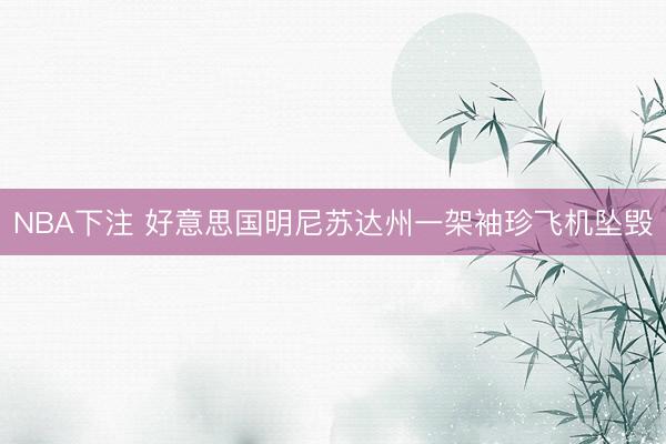 NBA下注 好意思国明尼苏达州一架袖珍飞机坠毁